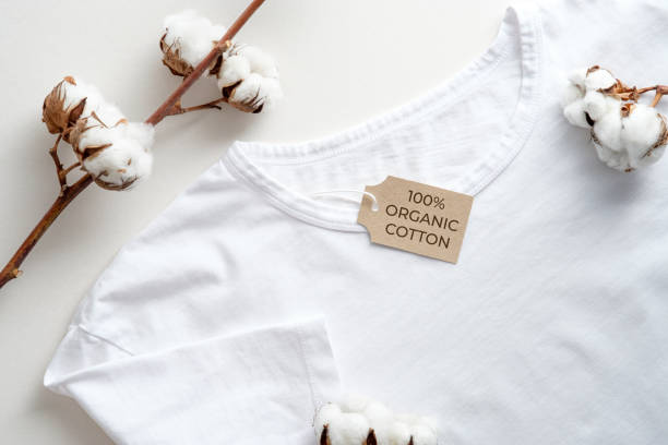 Organic Cotton in Fashion - Eco-Friendly Fabrics by D&J Fashion 100% organic cotton t-shirt with cotton branches, symbolizing eco-friendly fashion materials.